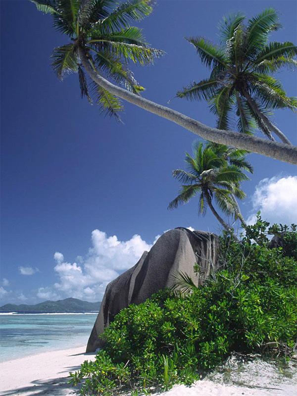 Fotky: Seychely (foto, obrazky)