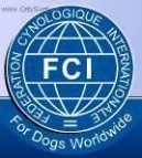 Mezinárodní organizace psů