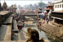 Fotky: Nepál (foto, obrazky)