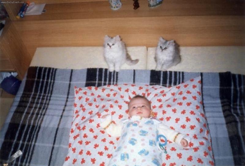 Foto: T�i "mimina"