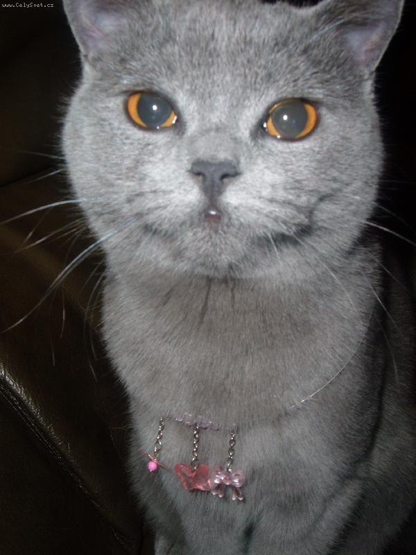 Foto: Krasavice s n�hrdeln�kem