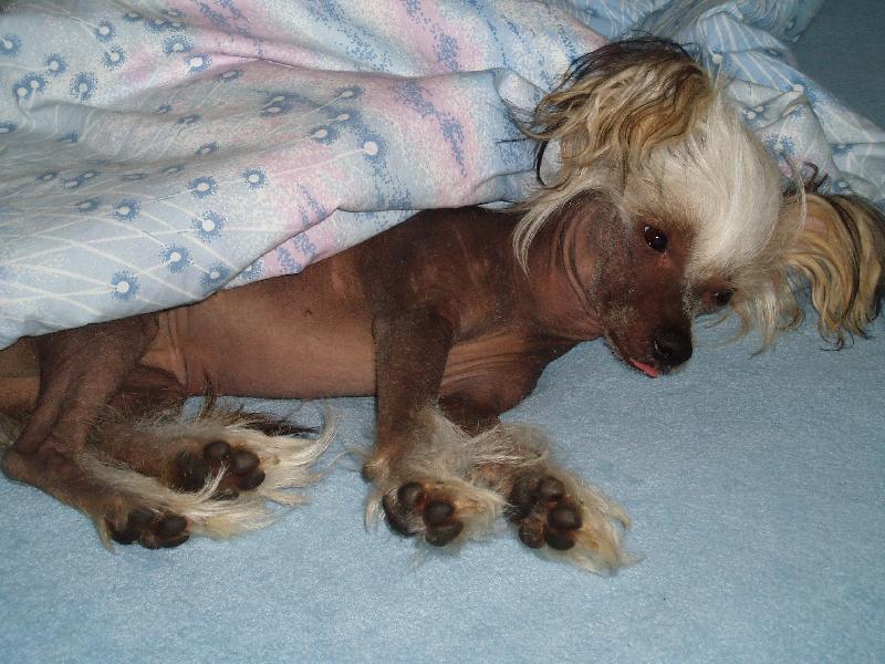 Foto: �nava-taky na v�s dolehla jarn� �nava?