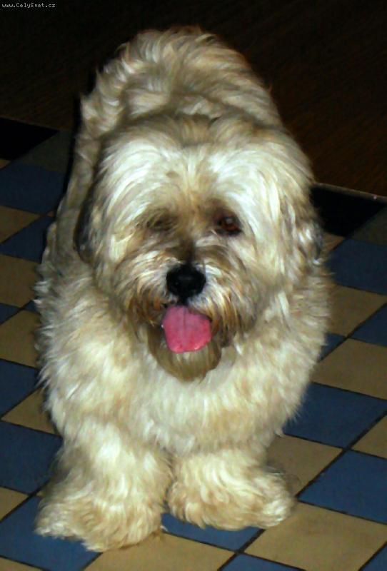 Foto: Moje l�se�ka! :)