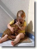Bengálská kočka, leopardí kočka