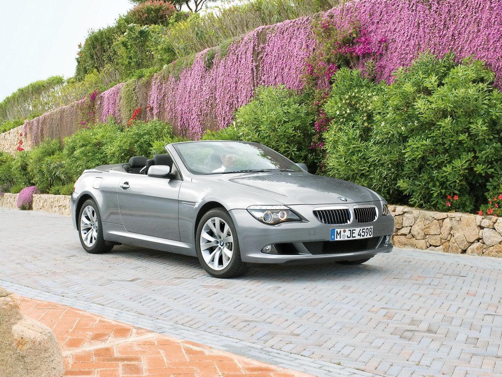 Foto: BMW 6 Series Front And Passenger Side Topless Flora (2008)