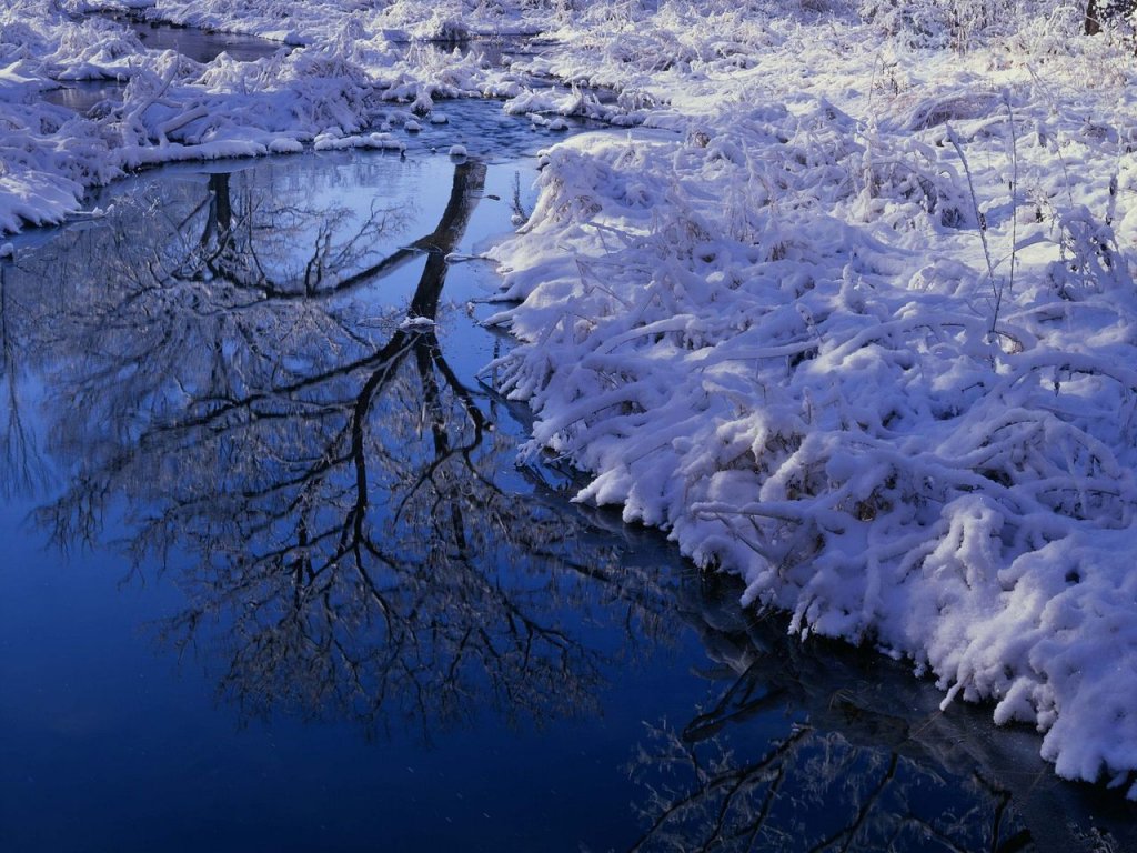 Foto: Winter Reflection, Lisle, Illnoise