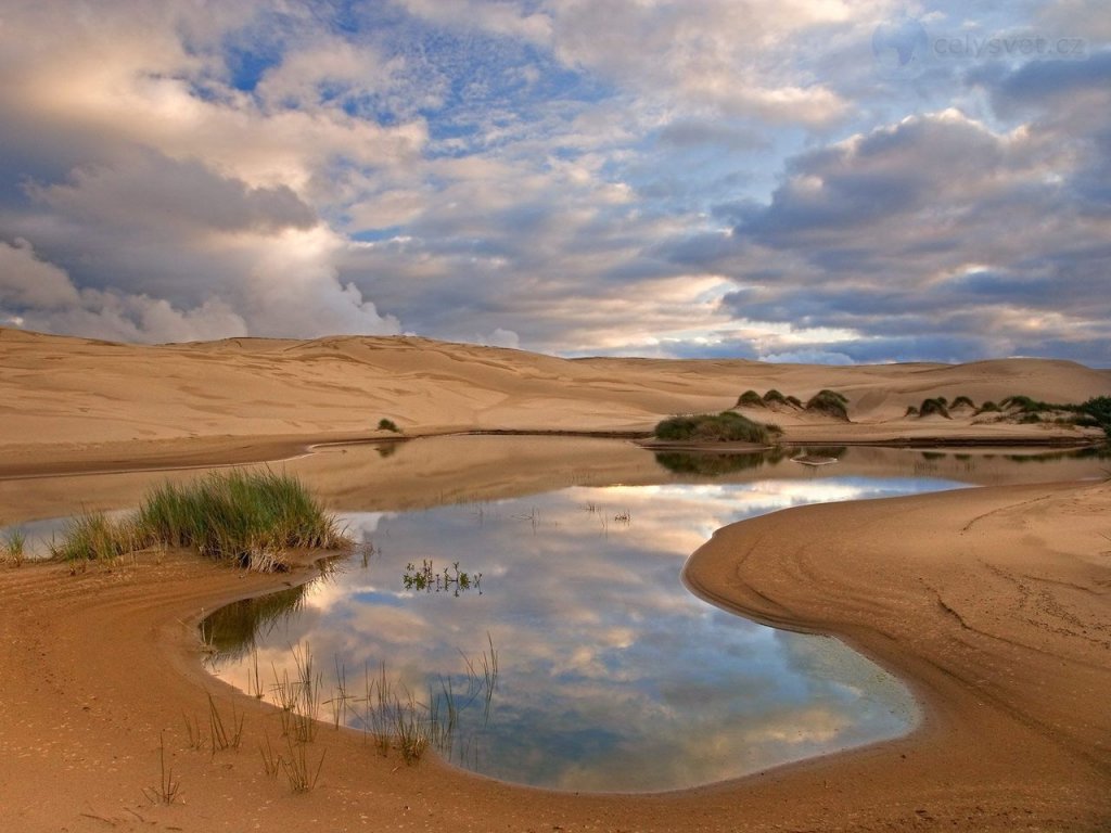 Foto: Umpqua Dunes, Siuslaw National Forest, Oregon 2