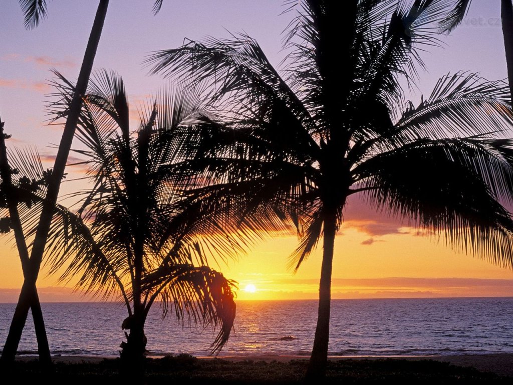 Foto: Hapuna Beach At Sunset, Kohala Coast, Hawaii