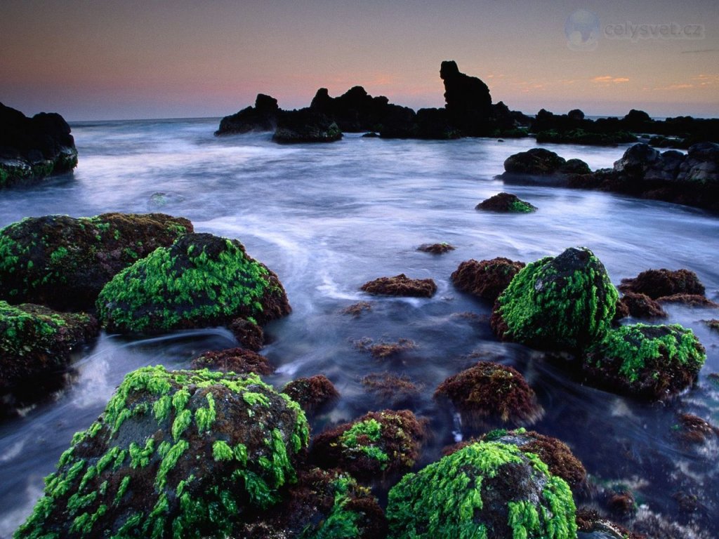 Foto: Hookipa Seascape, Maui, Hawaii