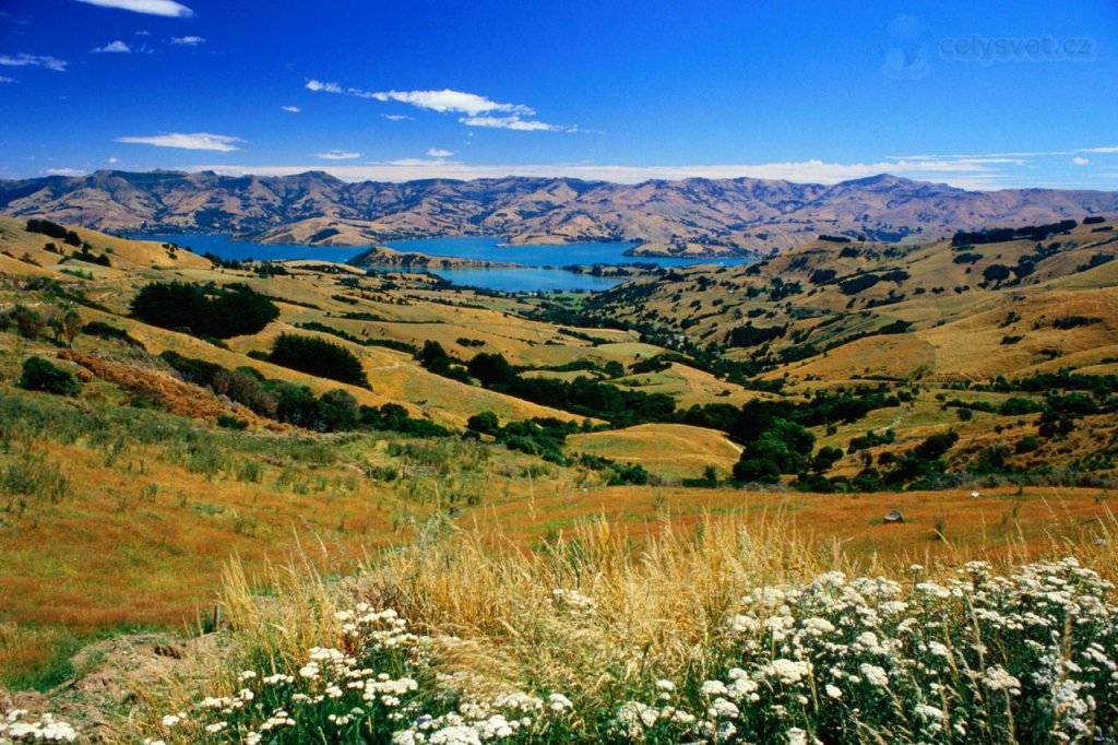 Foto: Christchurch Countryside, Canterbury, New Zealand