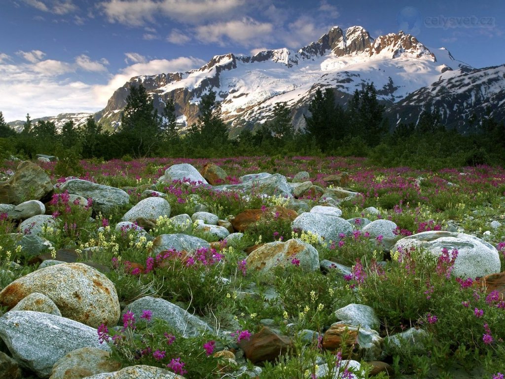 Foto: Rock Garden, Alsek River, British Columbia, Canada