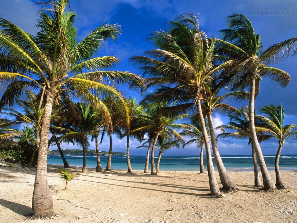 Foto: La Caravelle Beach Grande Terre Island, Guadeloupe