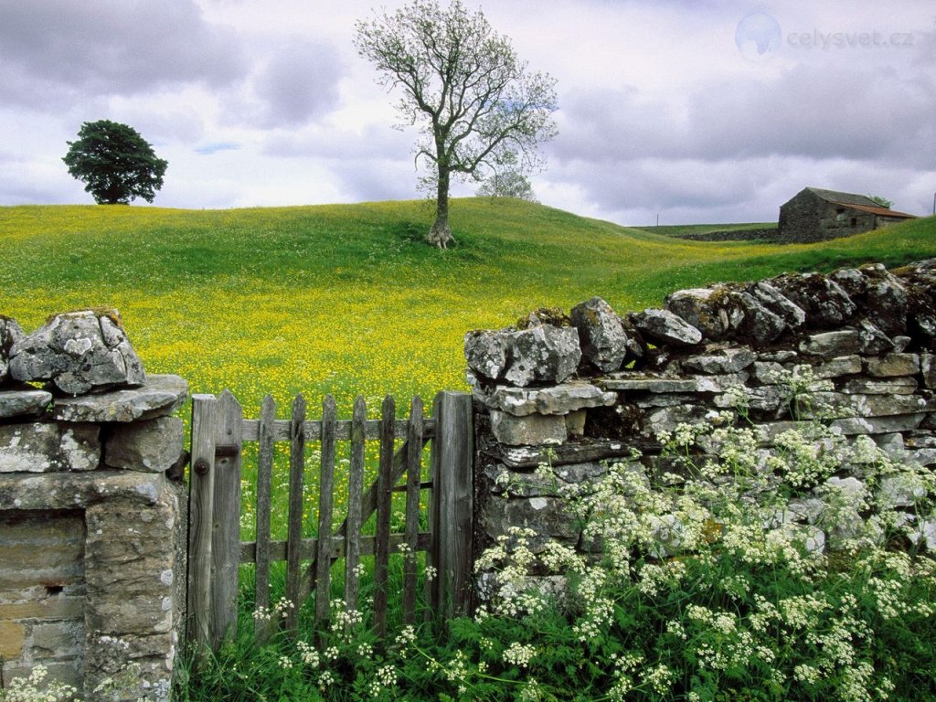 Foto: Swaledale Valley, Yorkshire, England