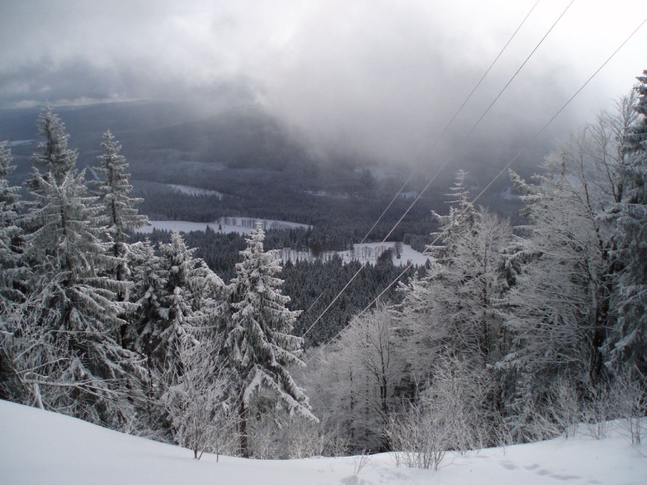 Foto: Šumava