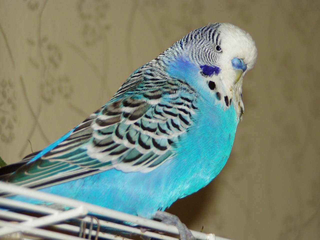 Foto: