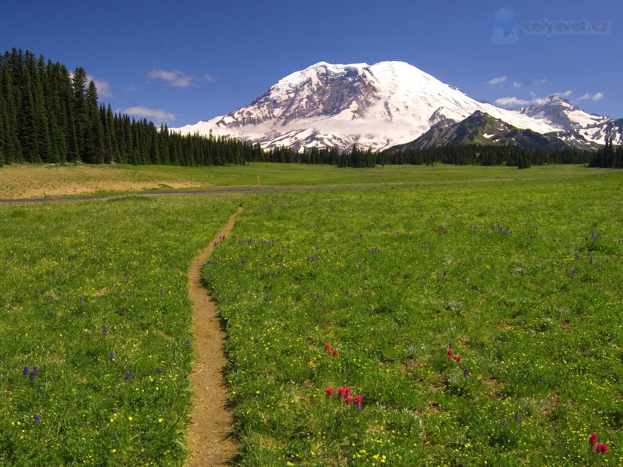 Foto: Scenic Trail, Mount Rainier National Park, Washington