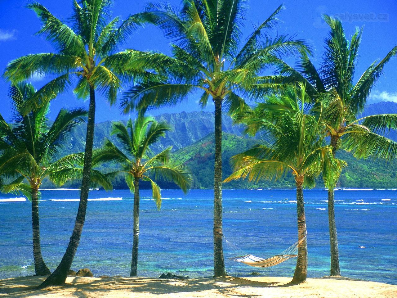 Foto: An Empty Hammock, Kauai, Hawaii