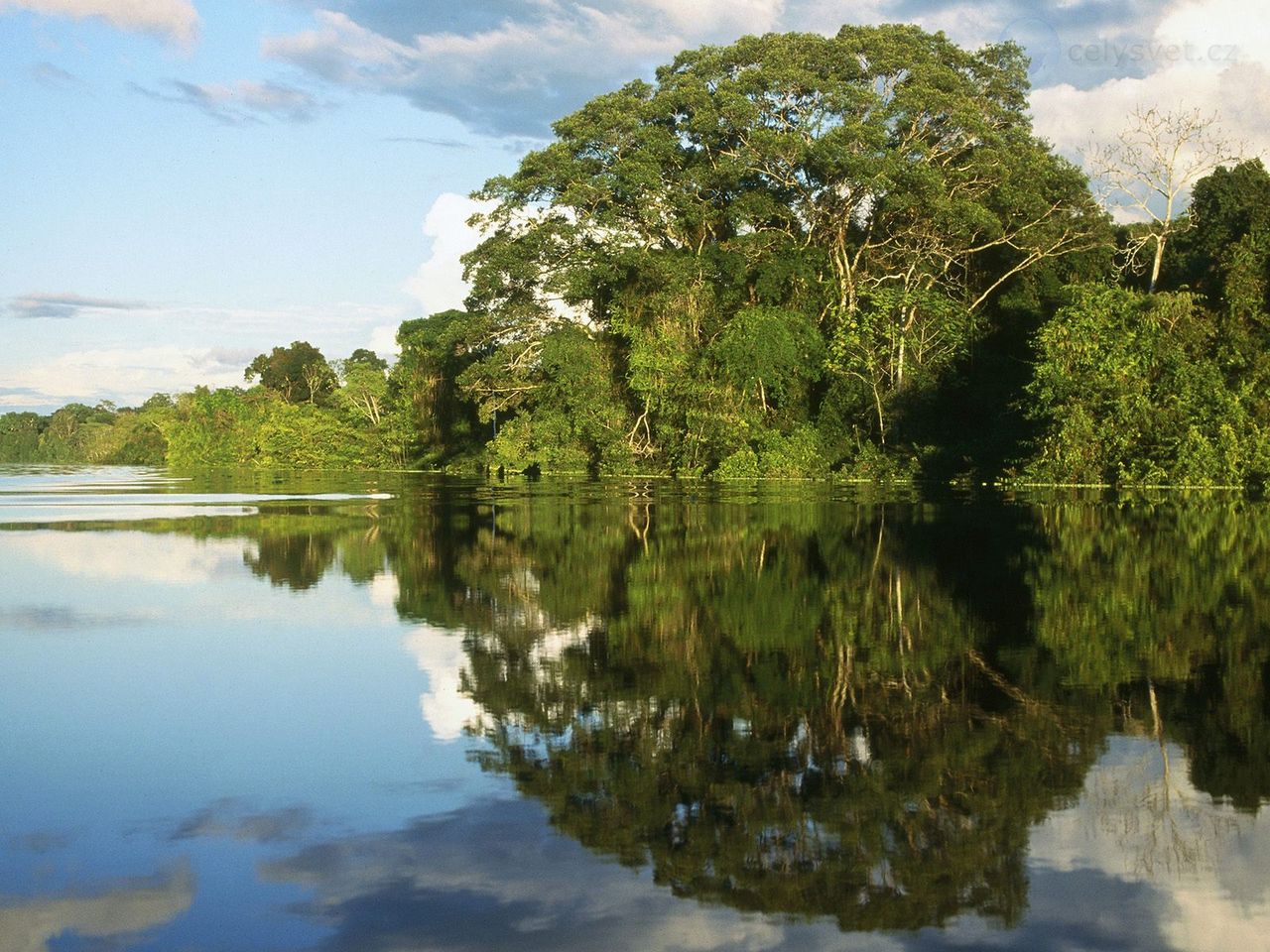 Foto: Pacaya Samiria National Peserve, Amazonia, Peru