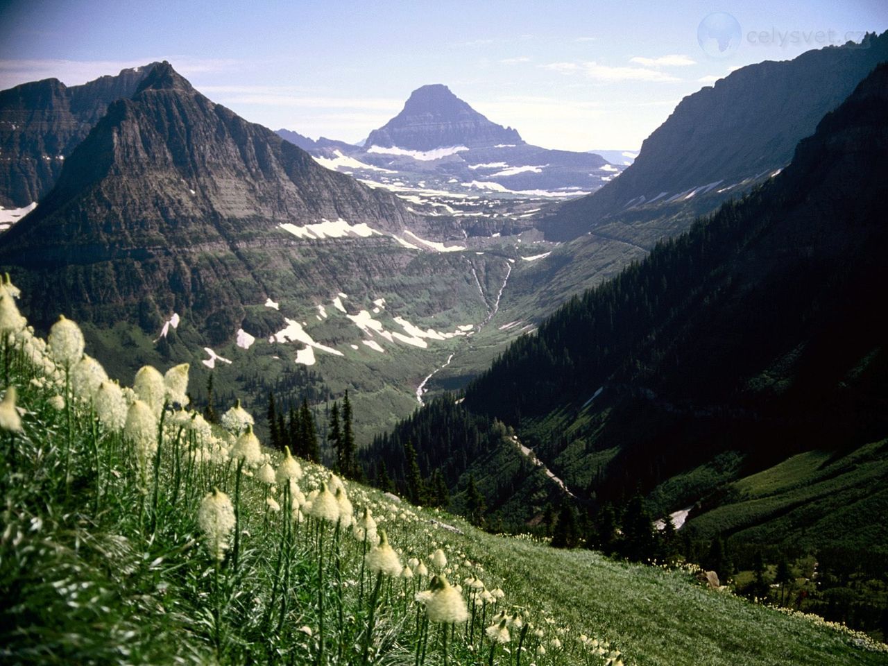 Foto: Mount Reynolds, Glacier National Park, Montana 2