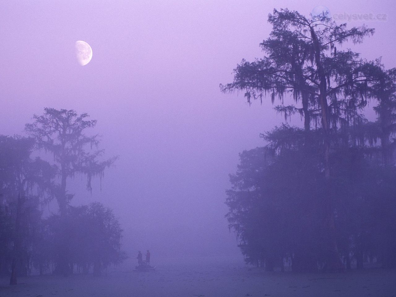 Foto: Secret Fishing Hole, Louisiana