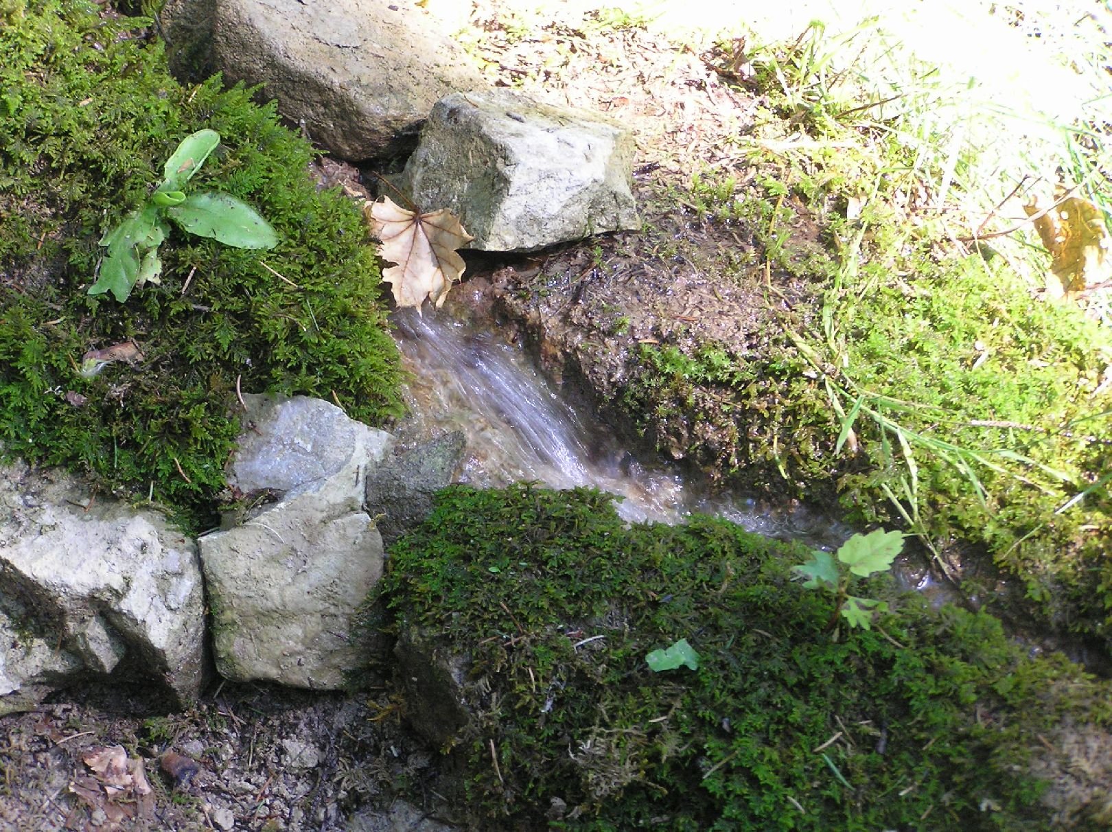 Foto: Teče voděnka...