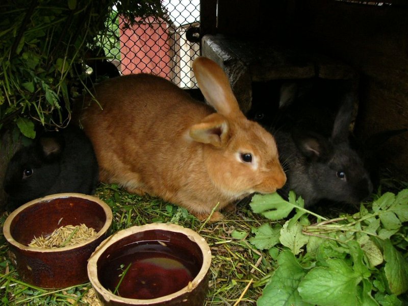 Foto: