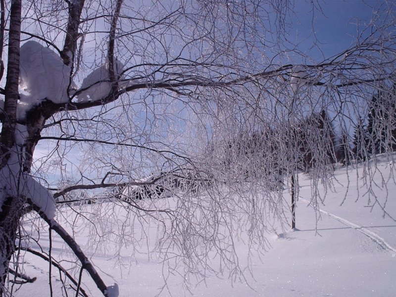 Foto: