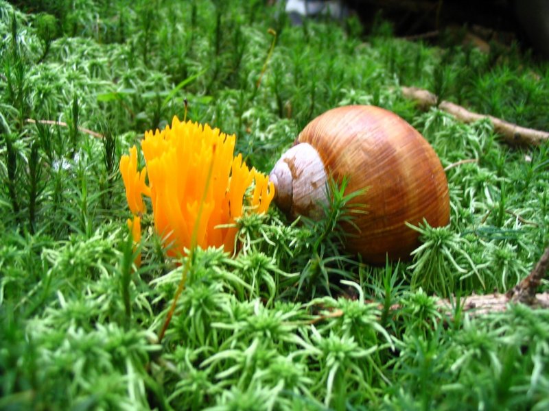 Foto: