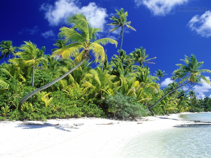 Foto: Palm Beach, Solomon Islands