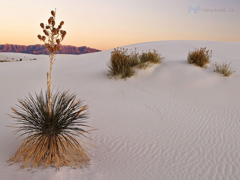 Foto: White Sands At Sunrise, New Mexico