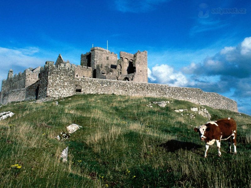 Foto: Cashel Castle, Ireland