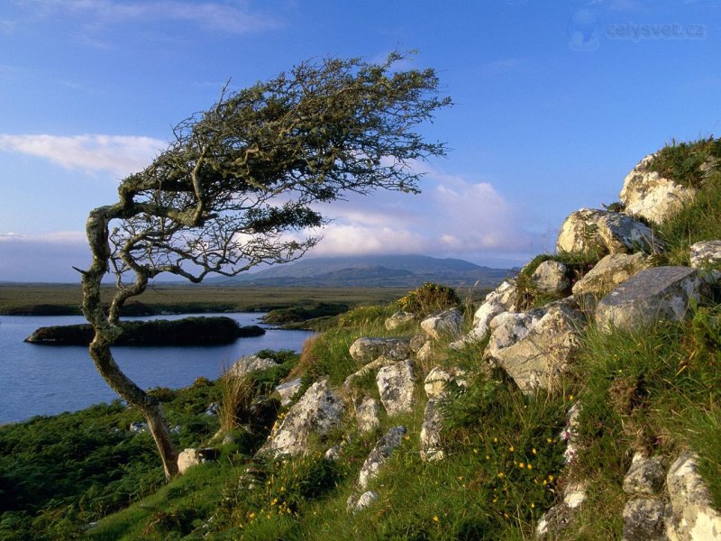 Foto: Connemara, County Galway, Ireland 2