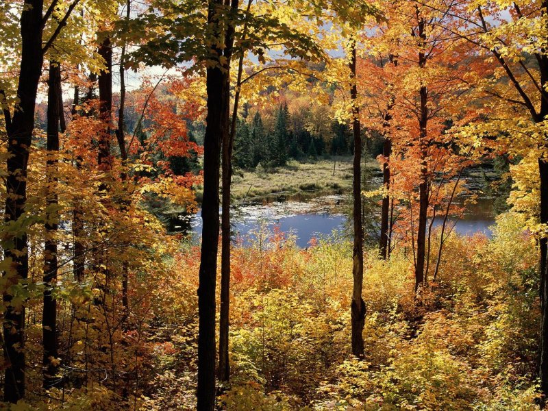 Foto: Lac Fortune, Gatineau Park, Quebec, Canada