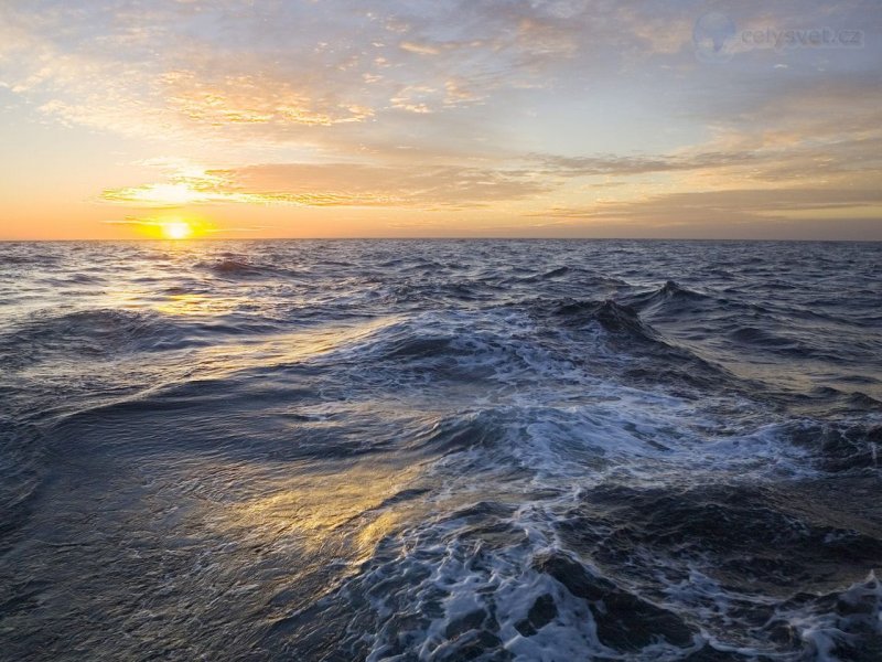 Foto: Golden Sunrise Over The Atlantic Ocean, Falkland Islands