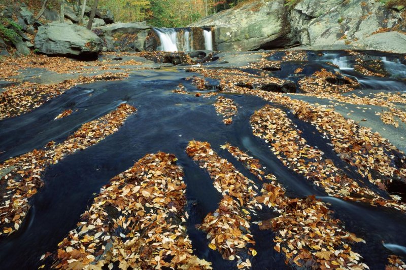 Foto: Tellico River, Cherokee National Forest, Tennessee